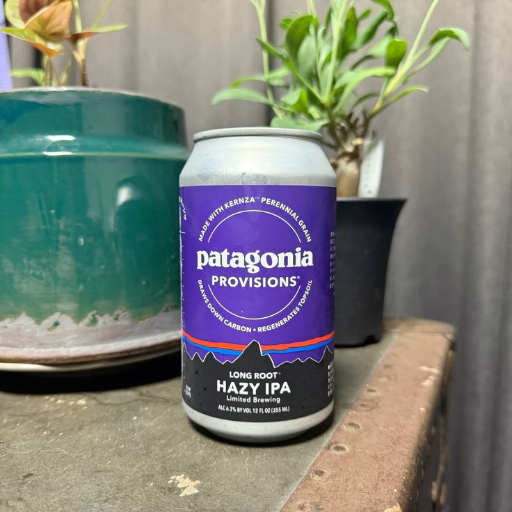 Patagonia-shagunstrategic