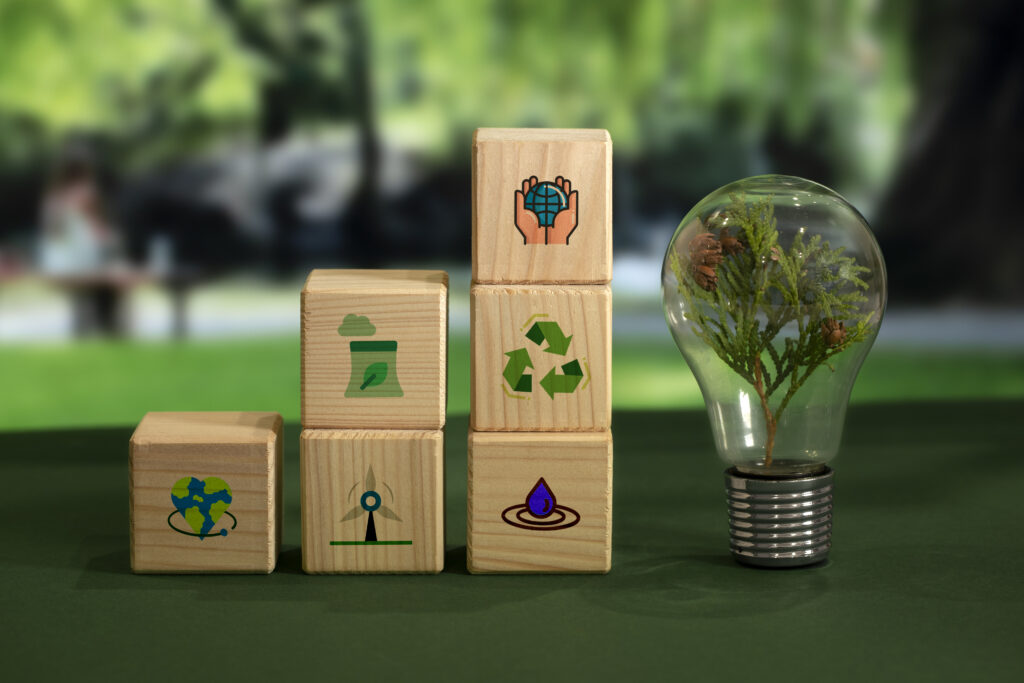Partner with eco- conscious influencers-shagunstrategic